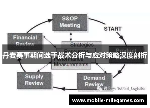 丹麦赛事期间选手战术分析与应对策略深度剖析