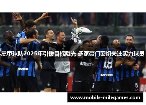 意甲球队2025年引援目标曝光 多家豪门密切关注实力球员