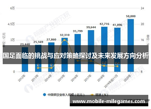 国足面临的挑战与应对策略探讨及未来发展方向分析