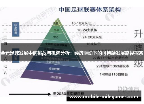 金元足球发展中的挑战与机遇分析：经济驱动下的可持续发展路径探索