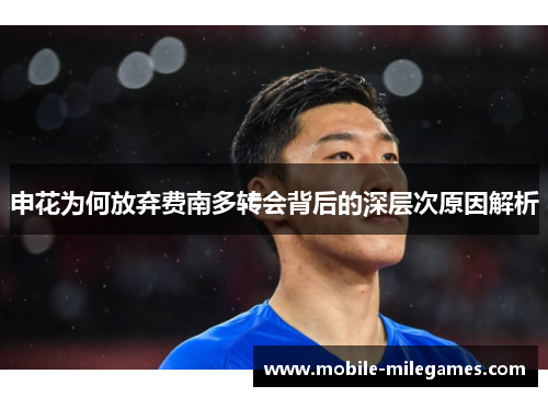 申花为何放弃费南多转会背后的深层次原因解析