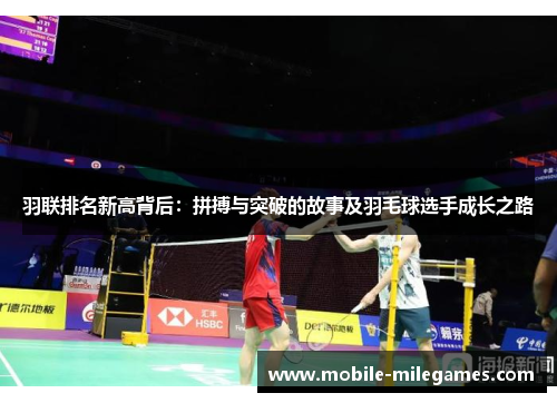 羽联排名新高背后：拼搏与突破的故事及羽毛球选手成长之路