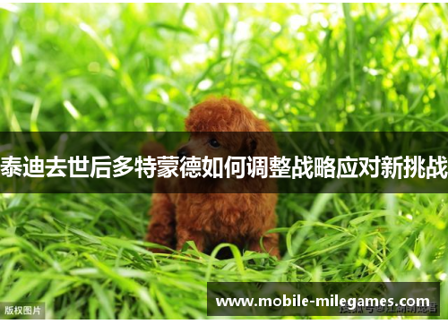 泰迪去世后多特蒙德如何调整战略应对新挑战