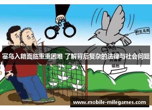 塞鸟入籍面临重重困难 了解背后复杂的法律与社会问题