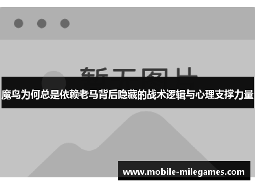 魔鸟为何总是依赖老马背后隐藏的战术逻辑与心理支撑力量
