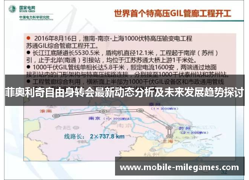 菲奥利奇自由身转会最新动态分析及未来发展趋势探讨