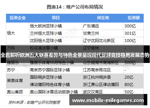 全面解析欧洲五大联赛差异与特色全景呈现现代足球竞技格局发展态势